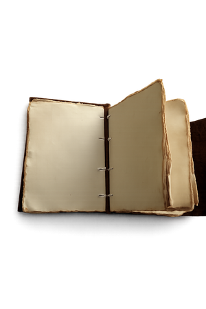 Luxury Embossed Leather Diary with Vintage Lock – Heritage Edition 3